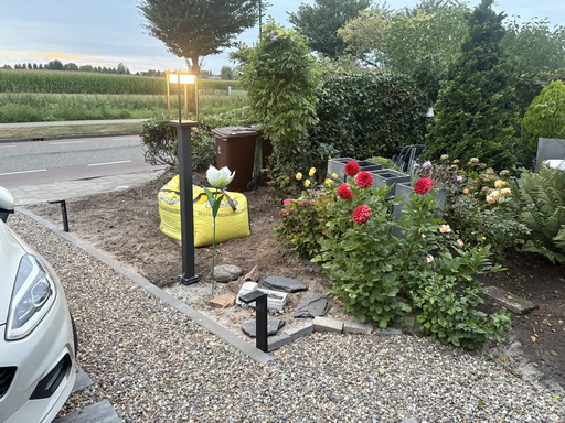 Tuin